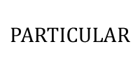 Particular Logo