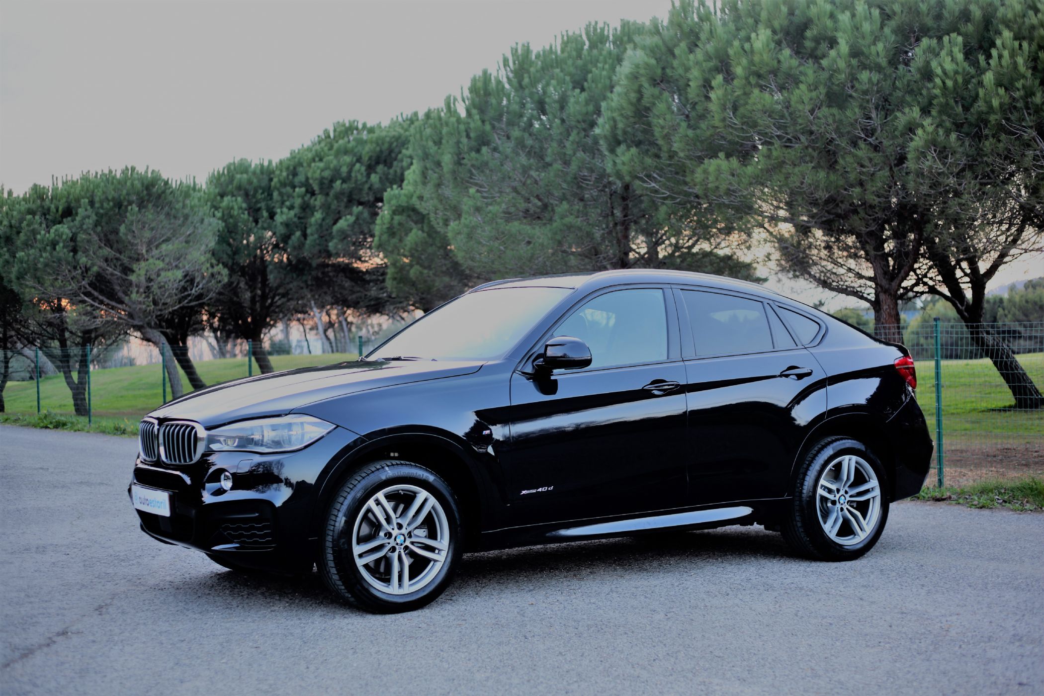 BMW X6