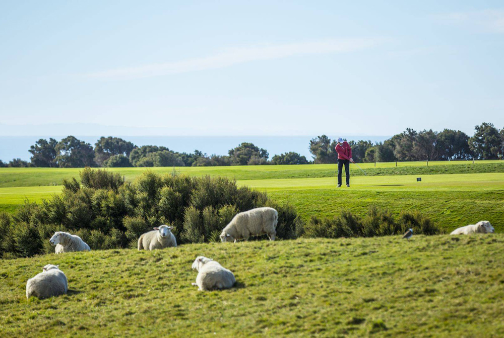Cape Kidnappers Golf Course
