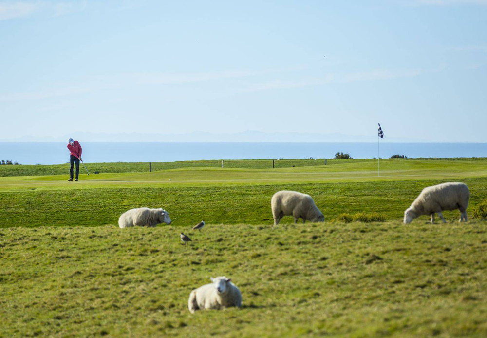 Cape Kidnappers Golf Course