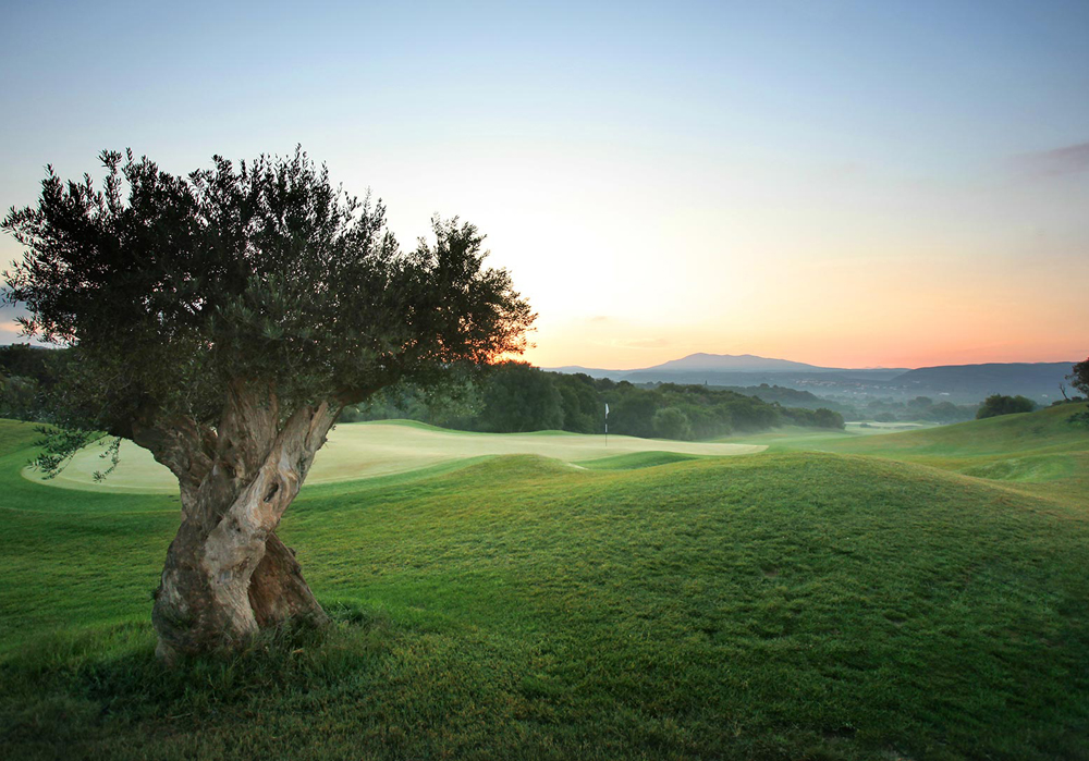 Costa Navarino