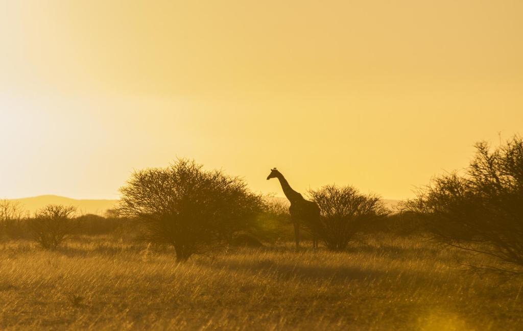 Epacha Game Lodge & Spa