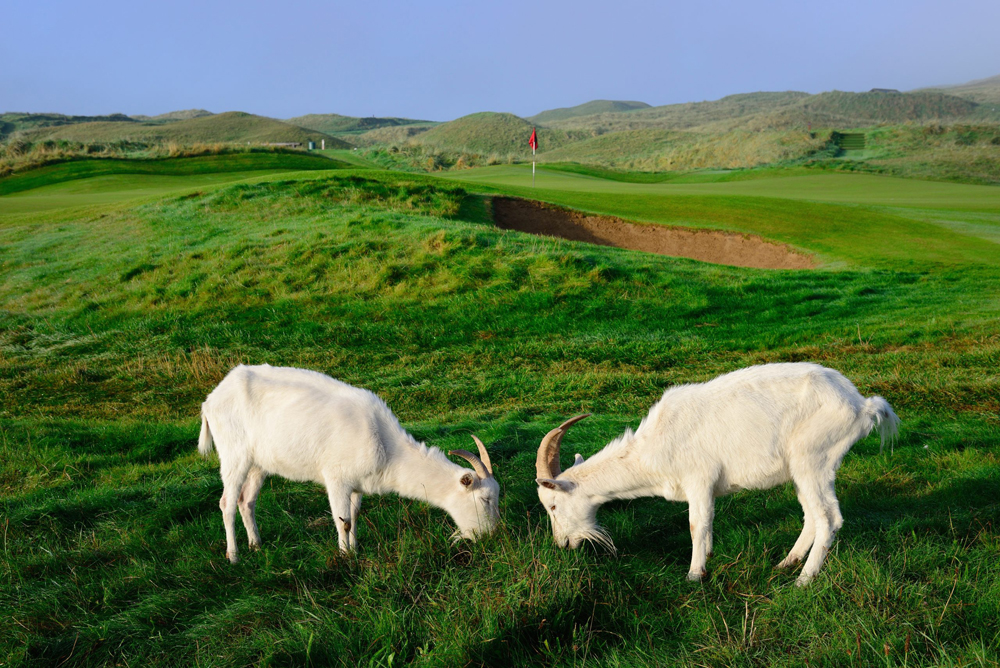 Lahinch Golf Club
