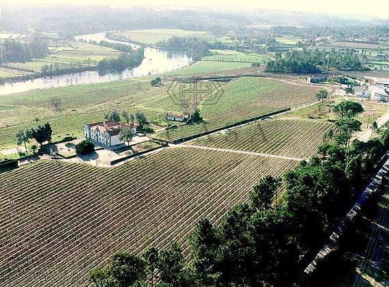 Quinta - Braga - Amares-4