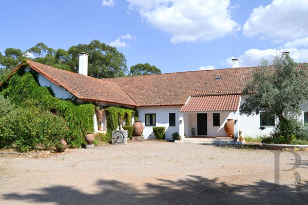 Turismo Rural T5 - Évora-7