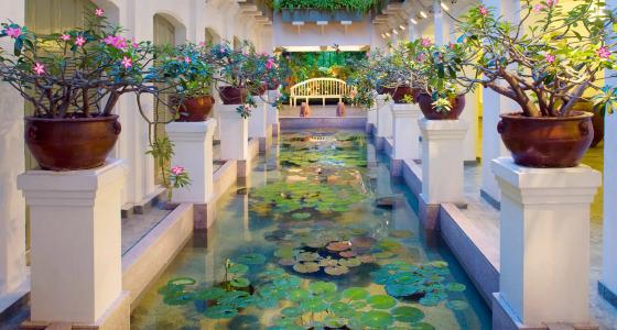 The Oriental Spa